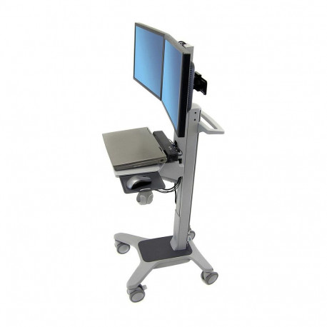 "Ergotron Neo-Flex Dual WideView"