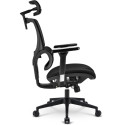 Sharkoon office chair OfficePal C40 (black)