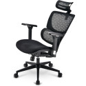 Sharkoon office chair OfficePal C40 (black)