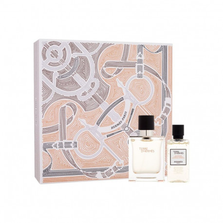 Hermes Terre d'Hermes Eau de Toilette (50ml) (Edt 50 ml + Shower Gel 40 ml)