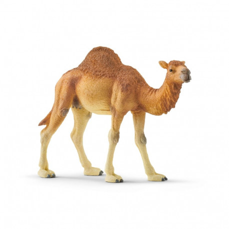 SCHLEICH WILD LIFE Dromedar