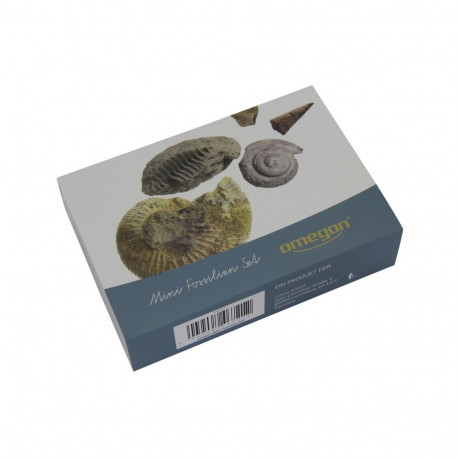 Fossil set, Omegon