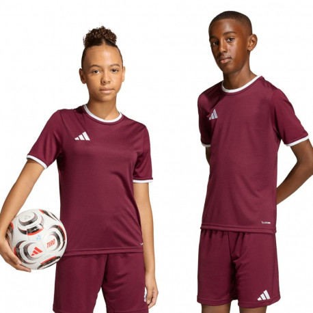 adidas laste särk Entrada 26 Jersey JZ2530 152cm, bordoopunane