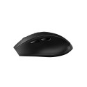 Wireless mouse BT5.0, ergonomic, black