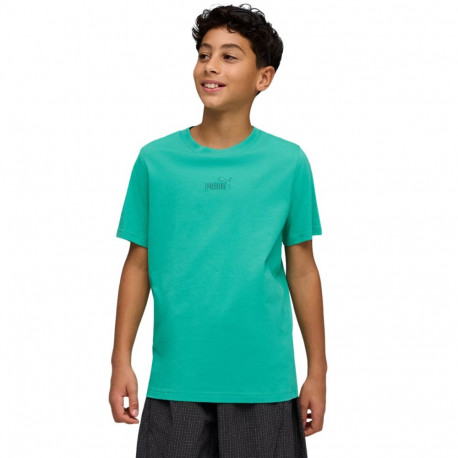 Puma laste T-särk ESS Small No.1 Logo Centered Tee 692975 40 140cm, roheline