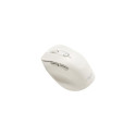 ASUS MD105 /MK-WH mouse Universal Right-hand RF Wireless + Bluetooth 2400 DPI