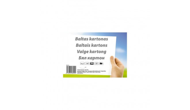 Valge papp BK 10