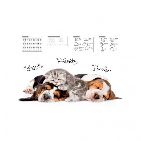 Lauamatt 0318-0048-72 580X415MM