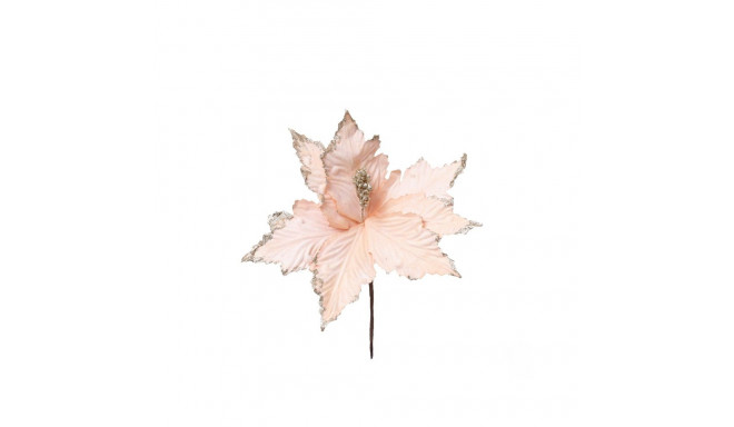 Jõululill 25cm FD299305S