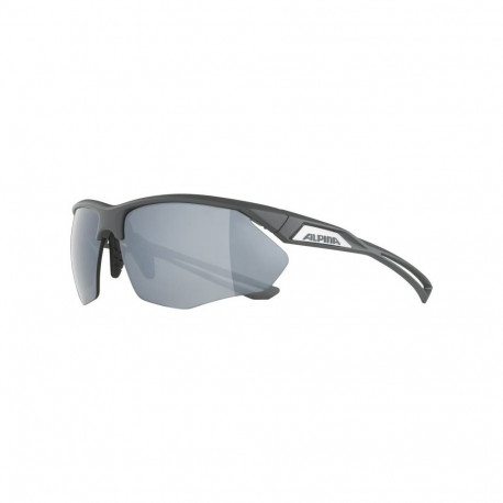 Sunglasses - Alpina Nylos HR 100% UVA/UVB Protection Grey