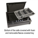 Master Lock väike seif MLD08EB biomeetriline lukk
