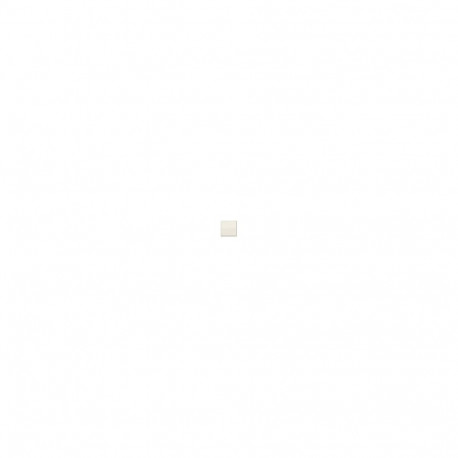 "Jung AS 591 Wippe für Schaltertaster"