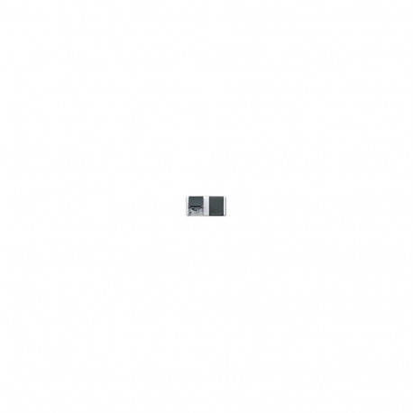 Jung 8220-1 W horisontaalne pinnapealne niiskuskindel topeltpistikupesa märgistusalaga