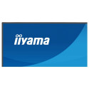 iiyama X2491H-B1