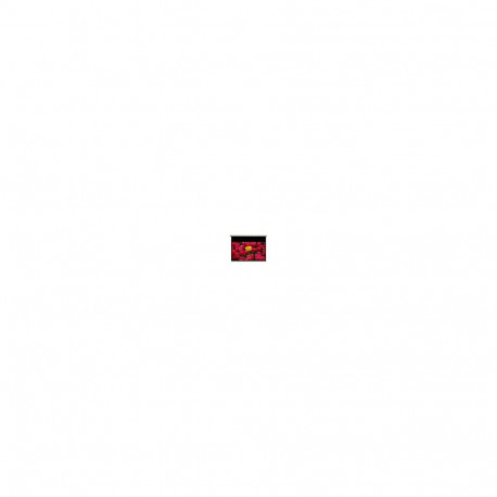 "Optoma Motorleinwand 244x167 16:9 (DE-9106EGA)"