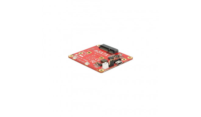 Delock Raspberry Pi USB 2.0 > mSATA konverter
