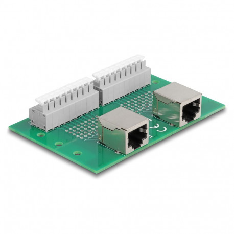 Delock RJ45 2 x pesa ja 2 x klemmiplokk nuppudega DIN-liistule