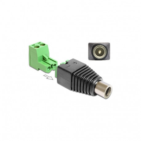 "Delock Adapter DC 5,5 x 2,1 mm Buchse > Terminalblock 2 Pin 2-teilig"