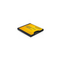 Delock Compact Flash adapter SD-mälukaartidele