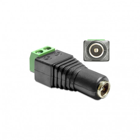 "Delock Adapter DC 5,5 x 2,1 mm Buchse > Terminalblock 2 Pin"
