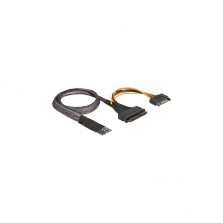 Delock M.2 Key M - U.2 SFF-8639 NVMe adapter 50 cm kaabliga
