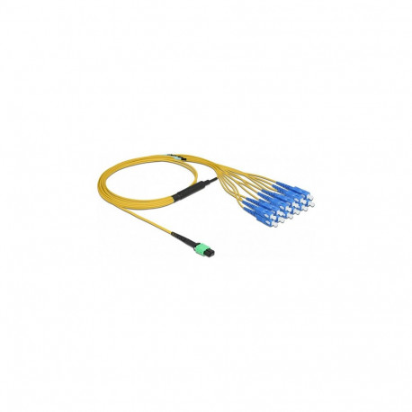 "Delock LWL Kabel MPO Buchse zu 12 x SC Simplex Stecker, Singlemode, 9/125 µm, 2 m"