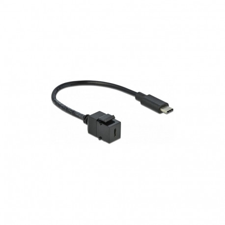 Delock Keystone moodul USB 5 Gbps Type-C™ pesa - USB Type-C™ pistik 25 cm kaabliga