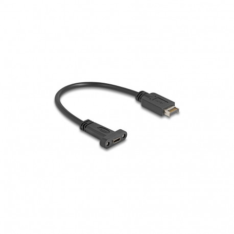 Delock USB 10 Gbps kaabel USB Typ-E Key A 20 Pin pistik USB Type-C™ pesaga paigaldamiseks 25 cm