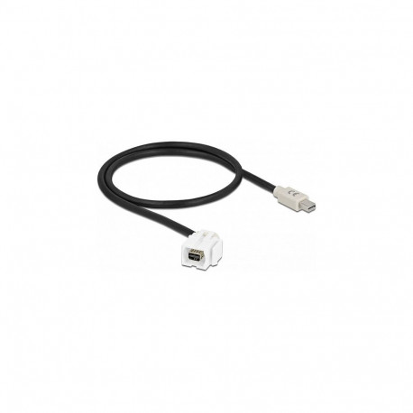 Delock Keystone-moodul mini DisplayPort pesa 110° > mini DisplayPort pistik kaabliga, valge