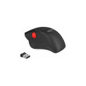 "Delock Ergonomische USB Maus - kabellos"