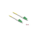 Delock LC-APC - LC-APC Simplex Singlemode OS2 valguskaabel 5 m