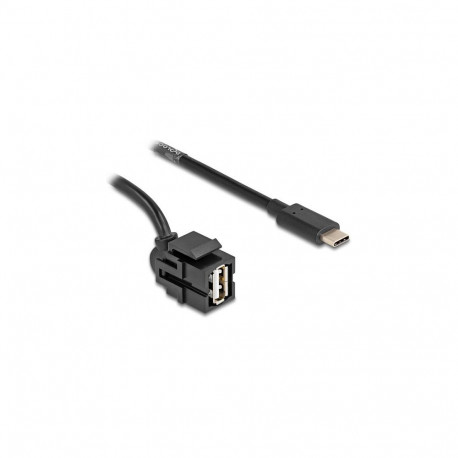 Delock Keystone moodul USB 2.0 A pesa ja USB Type-C™ pistikuga 250° kaabel 0,5 m