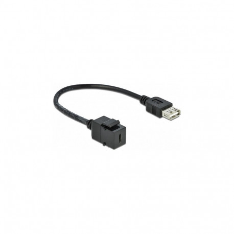 "Delock Keystone Modul USB 2.0 C Buchse > USB 2.0 A Buchse mit Kabel"