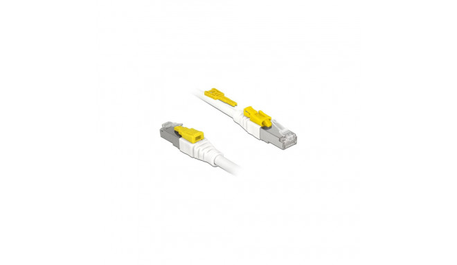 "Delock Kabel RJ45 Secure Cat.6A 1 m"