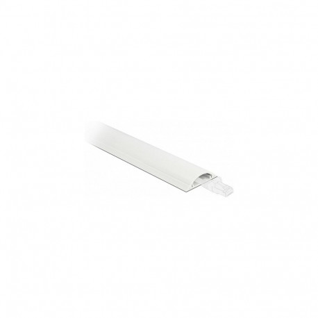 "Delock Kabelkanal selbstklebend 50 x 12 mm - Länge 1 m weiß"