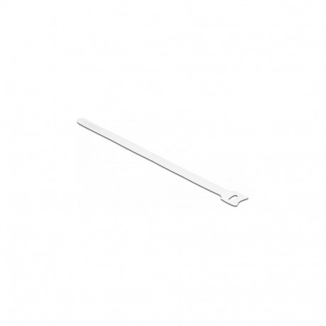 Delock takjakinnisega kaablisidemed L 250 x B 12 mm, valge, 10 tükki