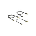 "Delock USB-Kabelsatz - Schwarz"