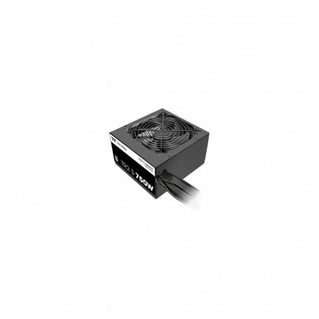 "750W Thermaltake TR2 S ATX 80 Plus"