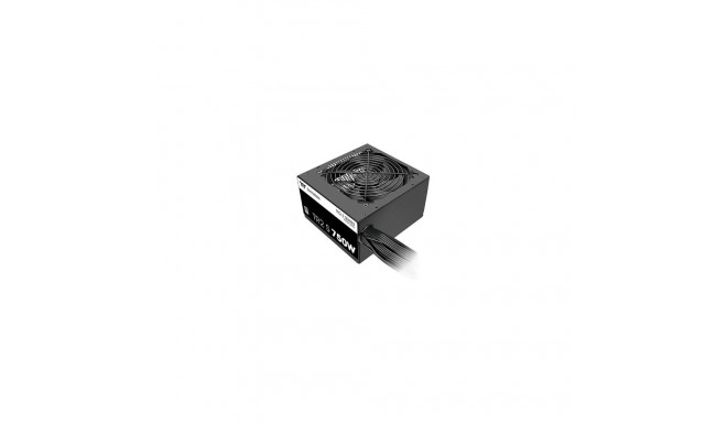 "750W Thermaltake TR2 S ATX 80 Plus"