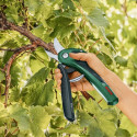 Bosch EasyPrune pruning shears Bypass Black, Green