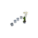 Klassikaline plastist orhideepott 12 cm