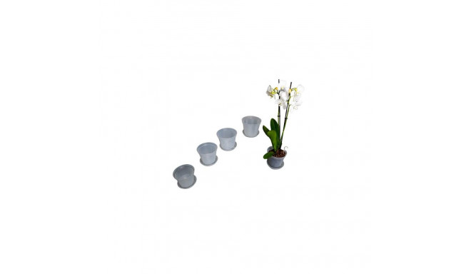 Klassikaline plastist orhideepott 12 cm