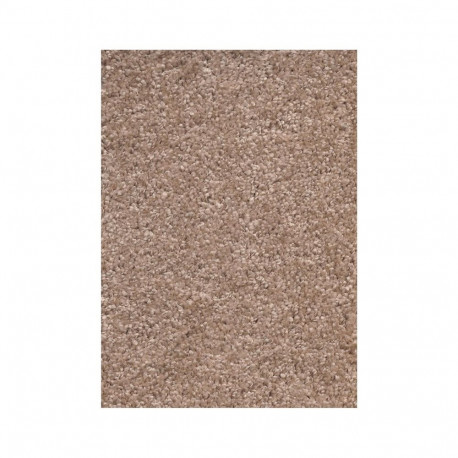 CARPETING FLORIDA 34 5M