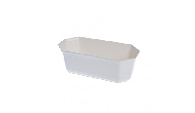 Plastikust kaktusepott UKOR