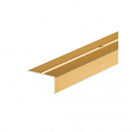 STAIR PROFILE LSSR 2M MATT GOLD(10)
