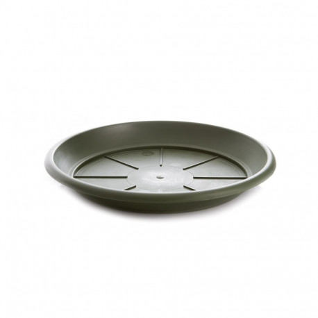 Siena D33 roheline alustaldrik (50)