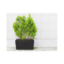 Must terrassi termolillepott D76