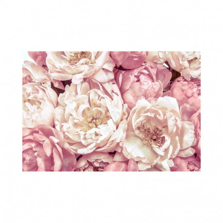 Fototapeet 368X248CM XXL4-091 pojengid