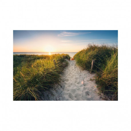 PHOTOMURAL 368X248CM XXL4-076 WAY