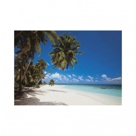 Fototapeet 368x254cm 8-240 Maldiivid